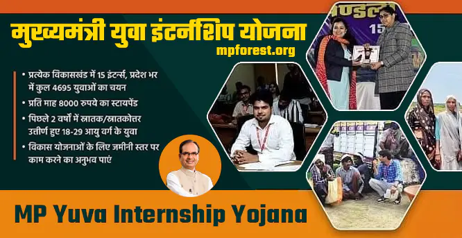 Mukhyamantri Yuva Internship Yojana