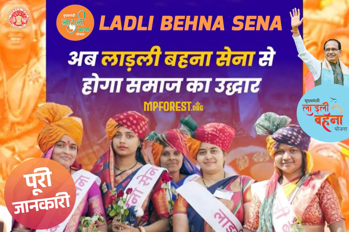 Ladli Behna Sena